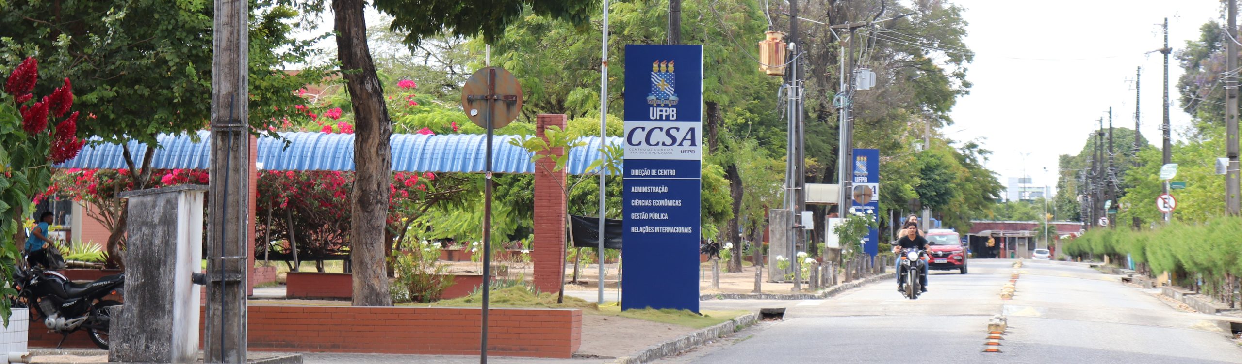 Imagem decorativa do site