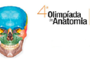 4 olim anatomia