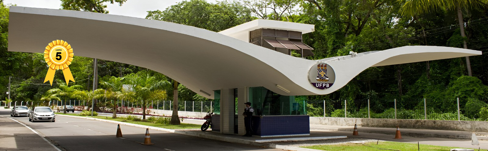 Imagem decorativa do site