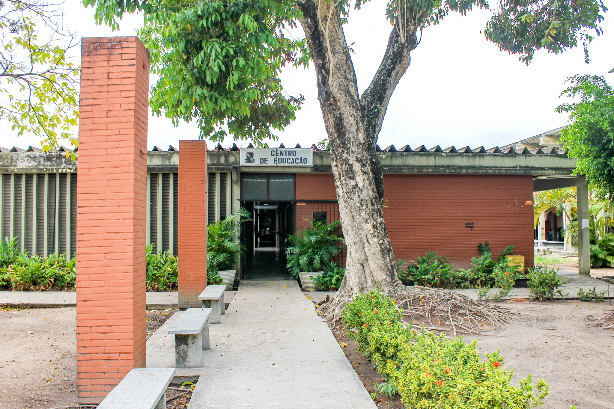 CENTRO DE EDUCAÇÃO DA UFPB ABRE 03 VAGAS DE ESTÁGIO REMUNERADO Foto: Angélica Gouveia