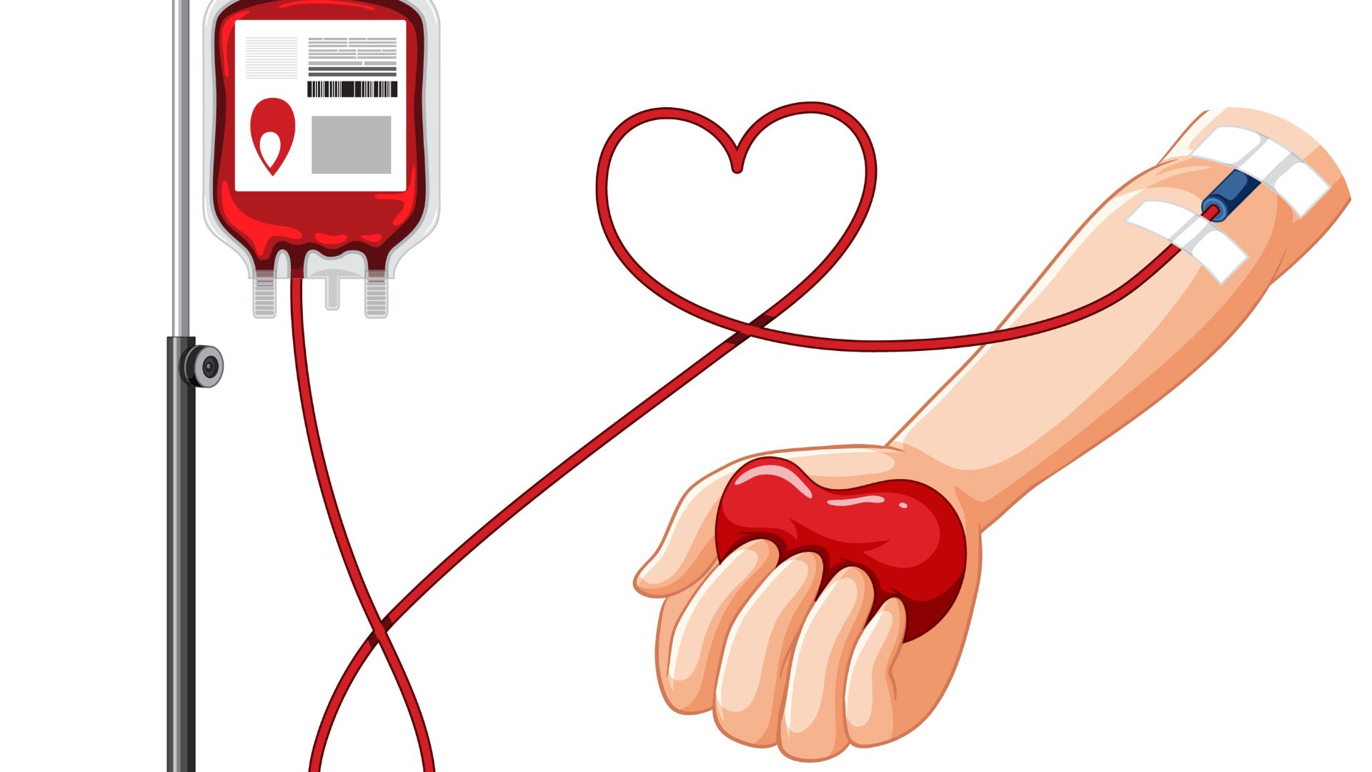 240320251.jpg 240320251.jpg