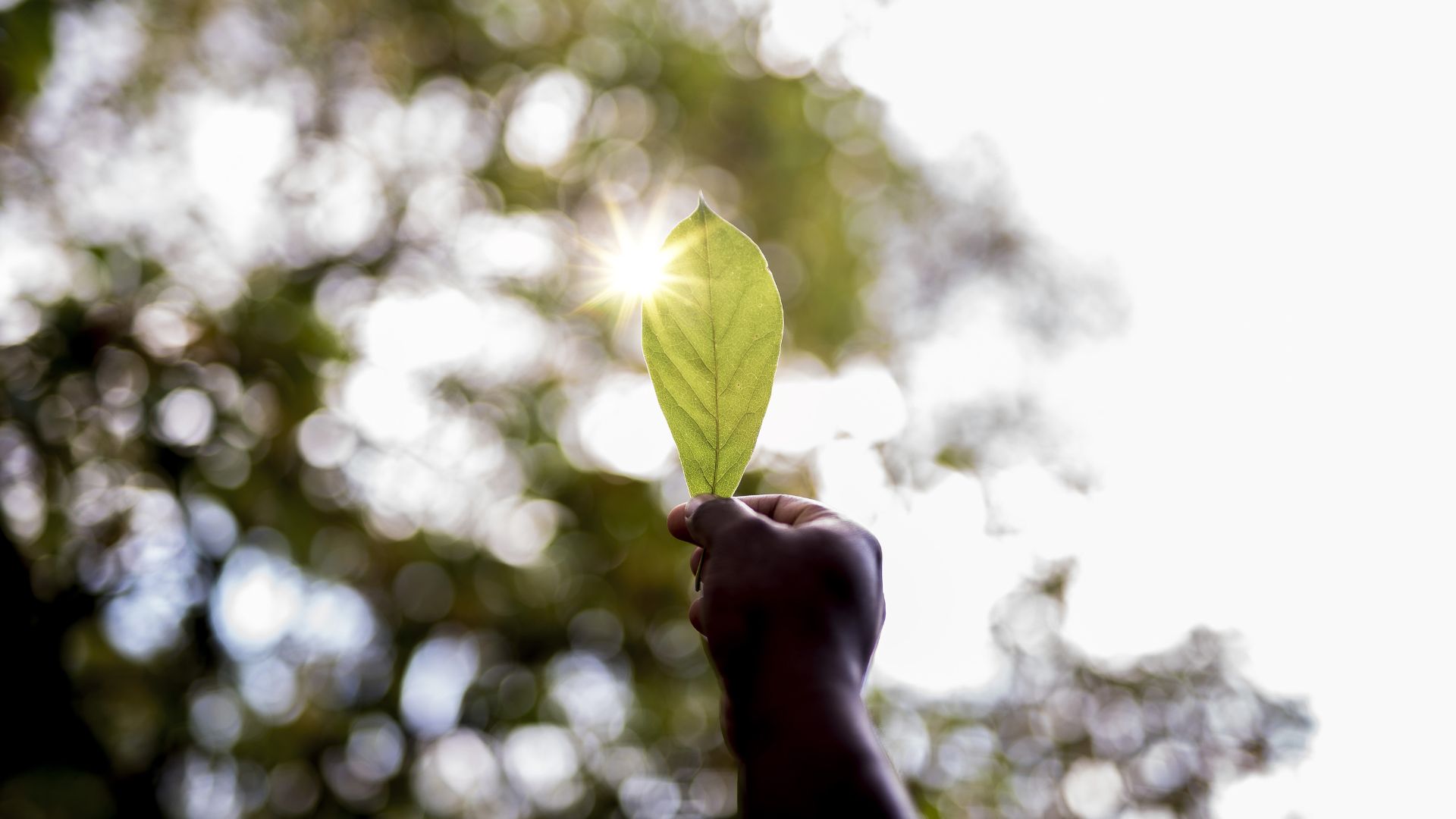 UFPB oferece 18 vagas para o Mestrado Acadêmico em Ecologia e Sustentabilidade